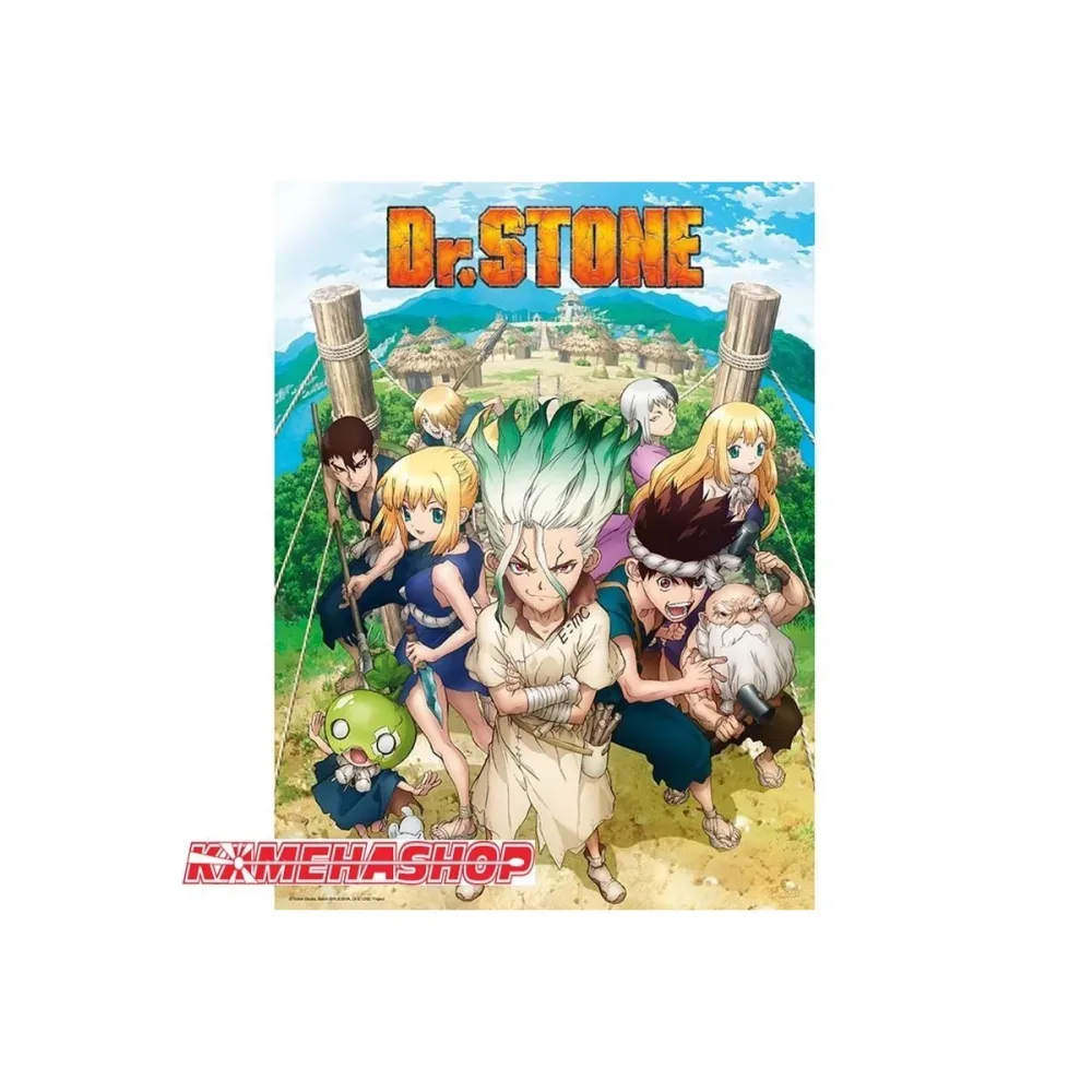 Modèle coin collection: Poster Dr Stone