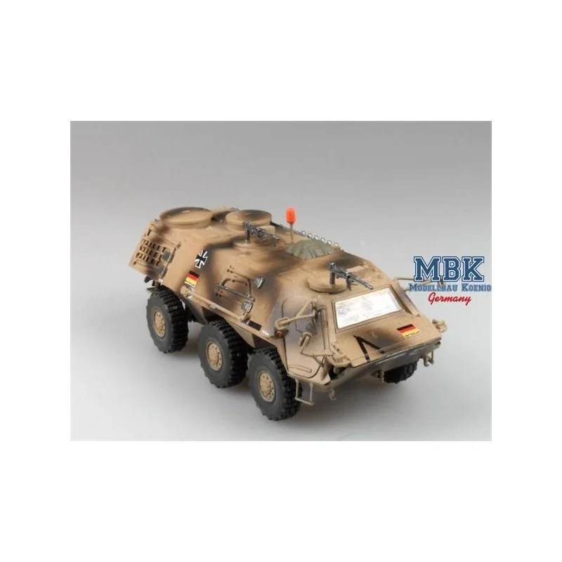 Originale Objet vitrine déco: Maquette TPz Fuchs 1 A4 - ISAF