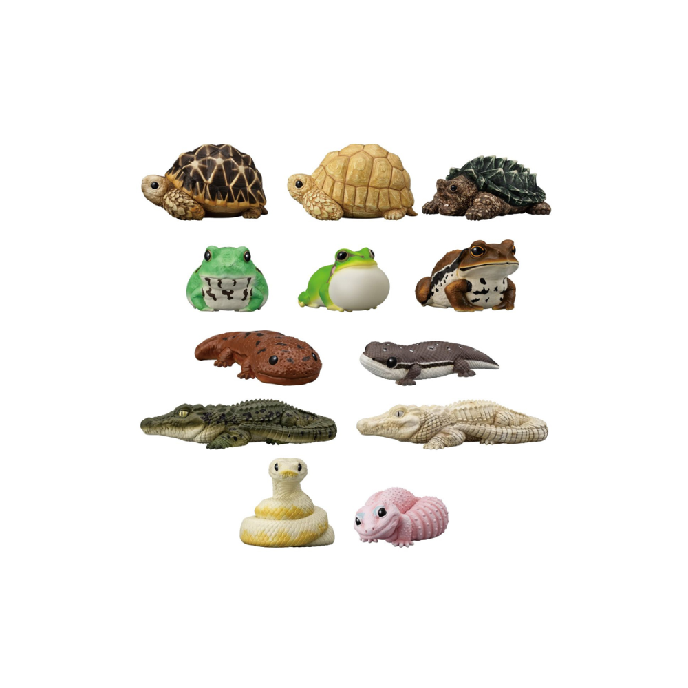 Coin collection: Tenori Friends - Mystery Box Serie 12 Assortiment 12 pièces