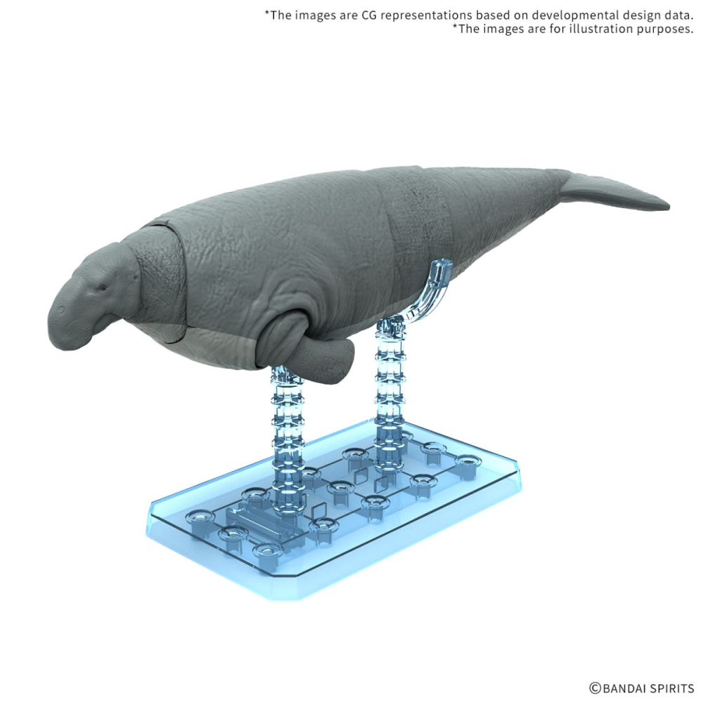 Soignée Déco: PLANNOSAURUS - Hydrodamalis Gigas - Model Kit