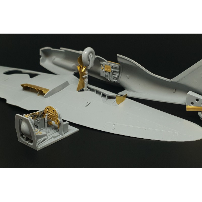 Modèle collection à exposer: Accessoire Reggiane Re.2005 (conçu pour être utilisé avec les kits Special Hobby)