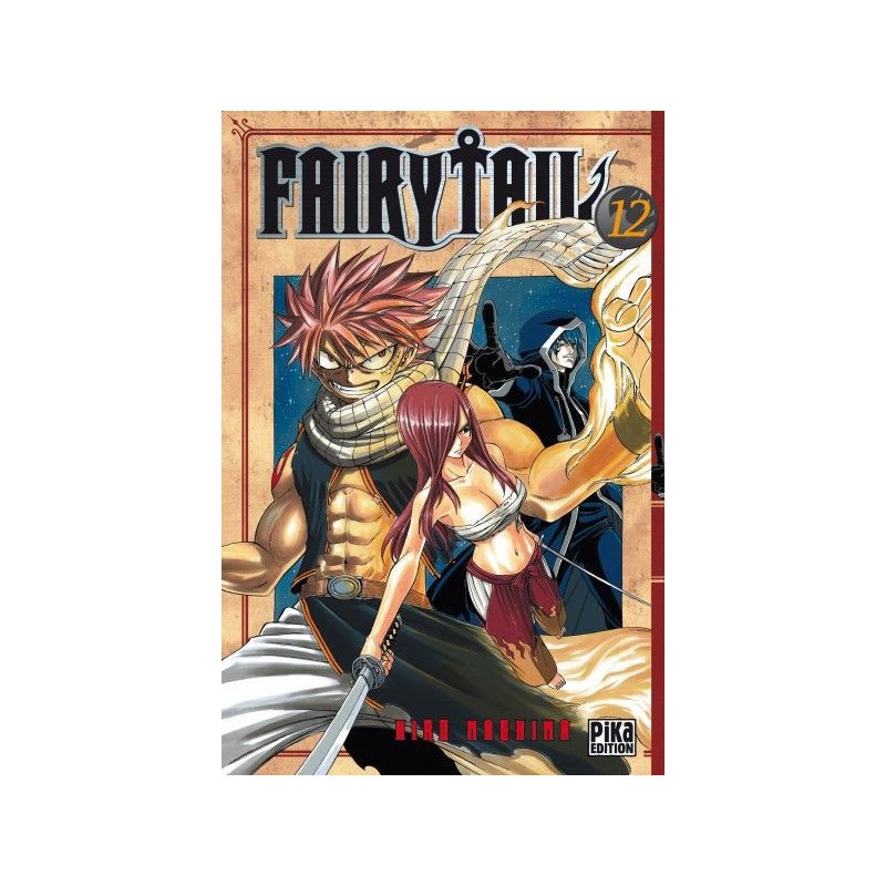 Artistique Style: Fairy Tail Tome 12