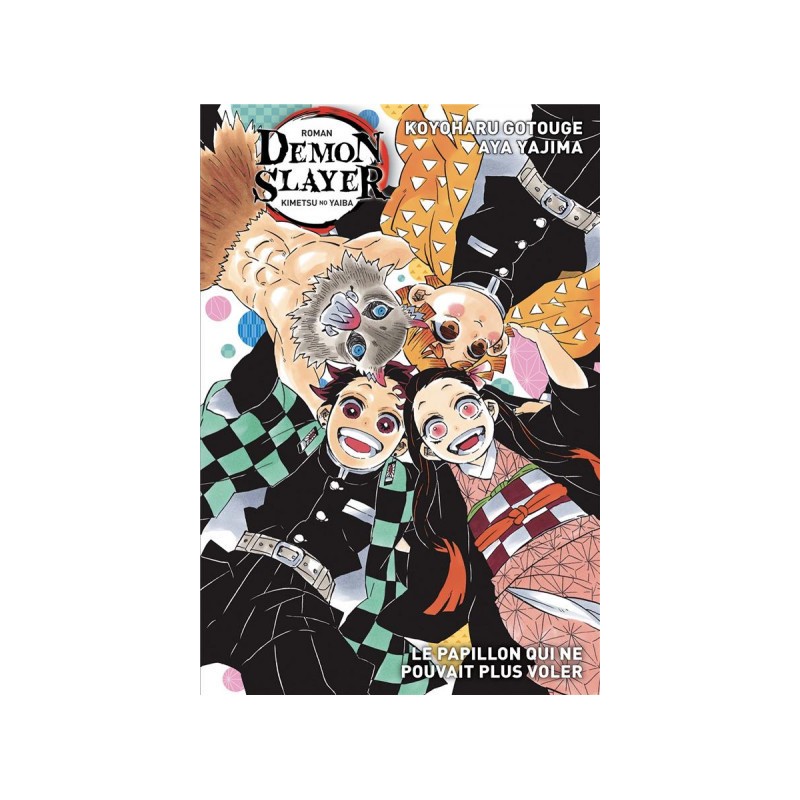 Objet pour étagère: Demon slayer (roman) tome 2