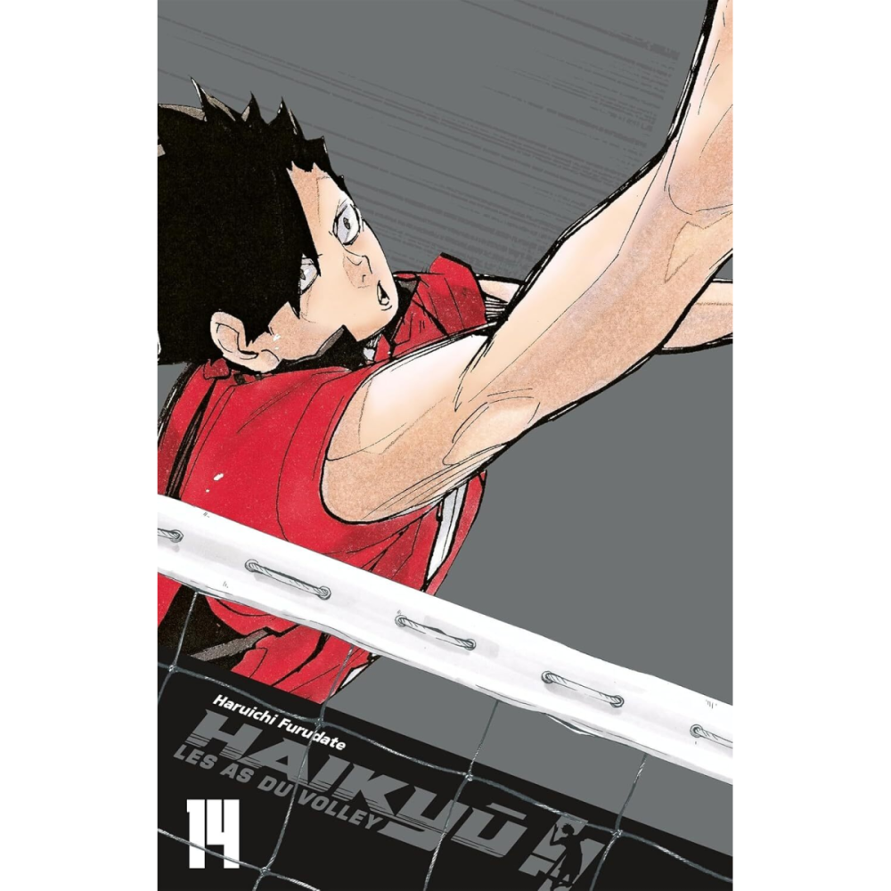 Miniature look soigné: HAIKYU !! - Les as du volley - EDITION SMASH - Tome 14