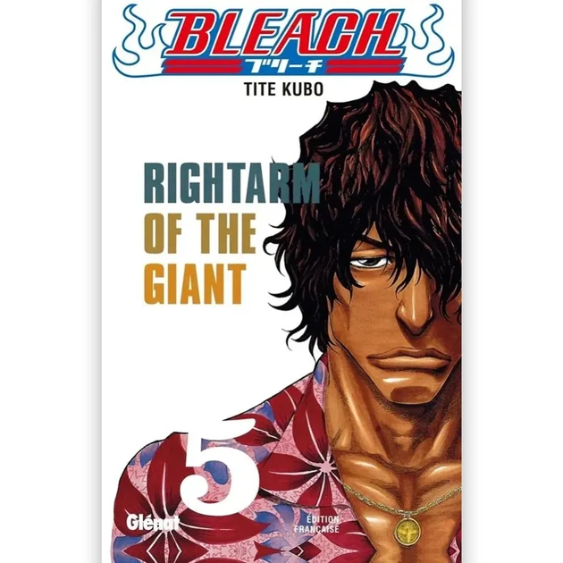 Modèle vitrine style geek: Bleach - Tome 05