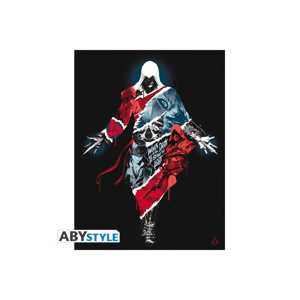 Coin collection: Toile Assassin's Creed Legacy 30 x 40 cm