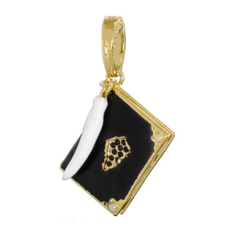 Modèle déco pour étagère: Bijou Harry Potter breloque Lumos Journal de Tom Riddle