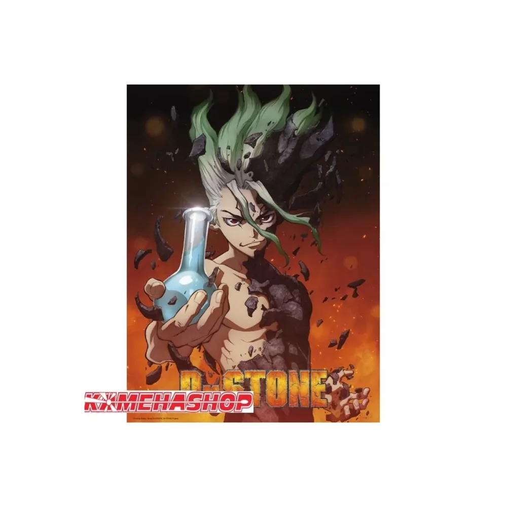 Classique Miniature: Poster Dr Stone Senku