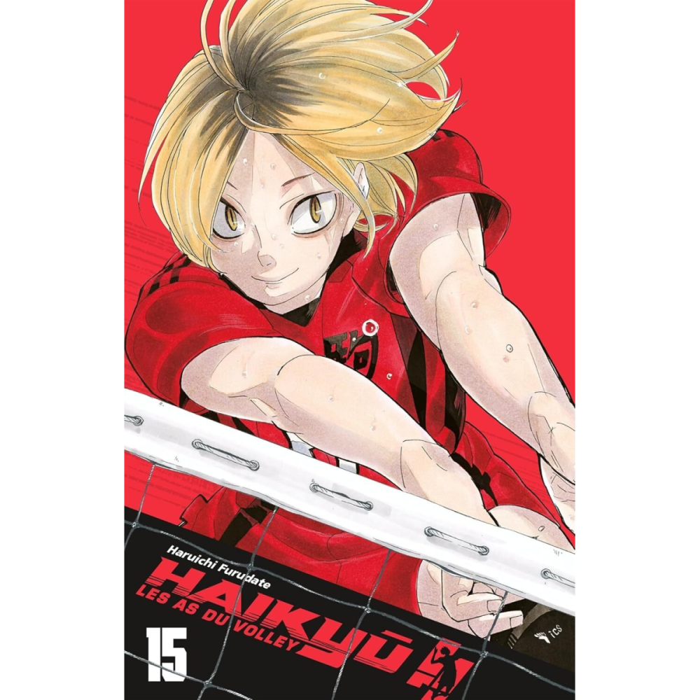 Artistique Miniature: HAIKYU !! - Les as du volley - EDITION SMASH - Tome 15